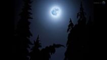 luna-azul-suele-producirse-anos_TINVID20120831_0003_3